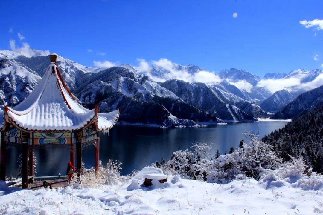 芭比娃娃的服装